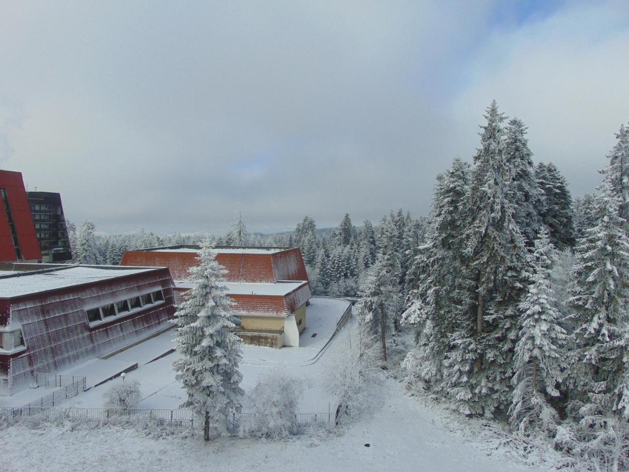 Ski Apartment Boyika Iglika 2 Borovets Eksteriør bilde