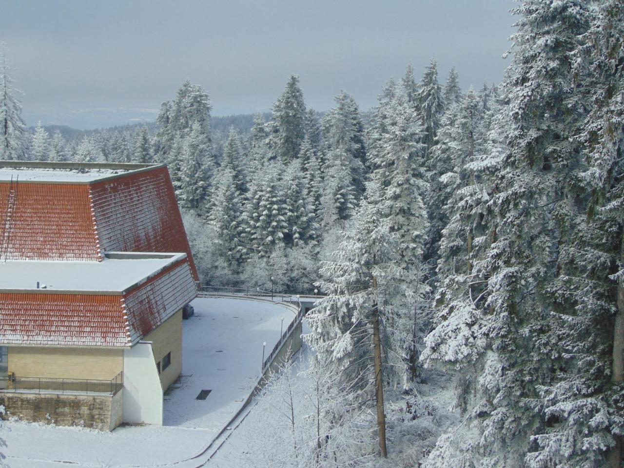 Ski Apartment Boyika Iglika 2 Borovets Eksteriør bilde