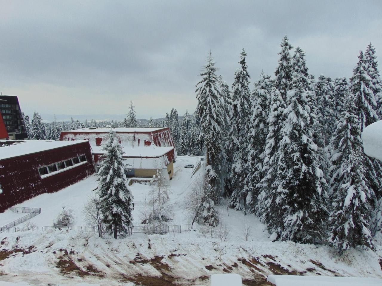 Ski Apartment Boyika Iglika 2 Borovets Eksteriør bilde